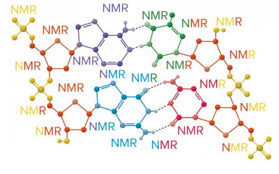 13C NMR analysis of peptides and amino acids