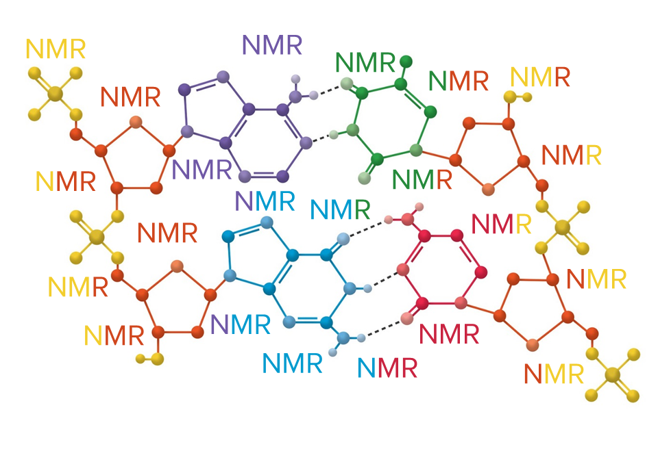 13C NMR analysis of peptides and amino acids